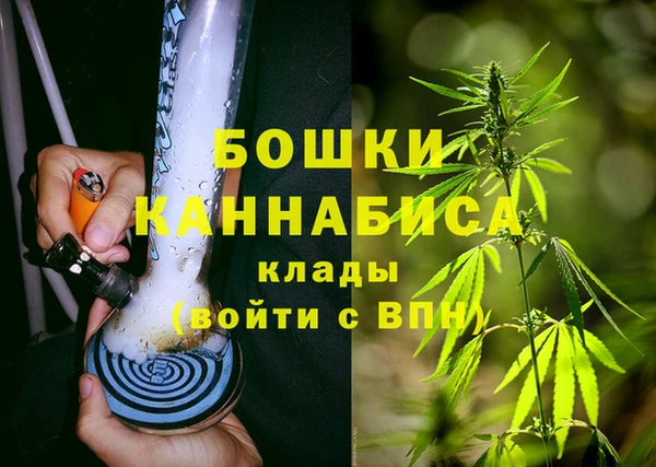 СК Аркадак