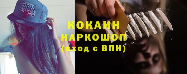шишки Арсеньев