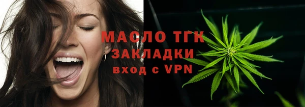 шишки Арсеньев