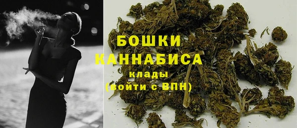 СК Аркадак