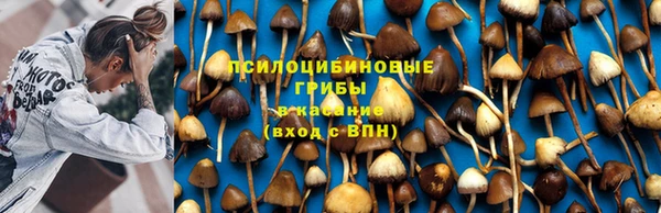 не бодяженный Алексин