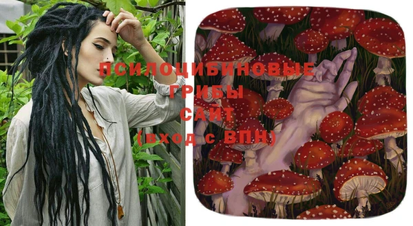 не бодяженный Алексин