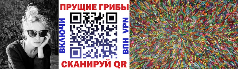 Галлюциногенные грибы мицелий  купить наркотики цена  это клад  Колпашево 